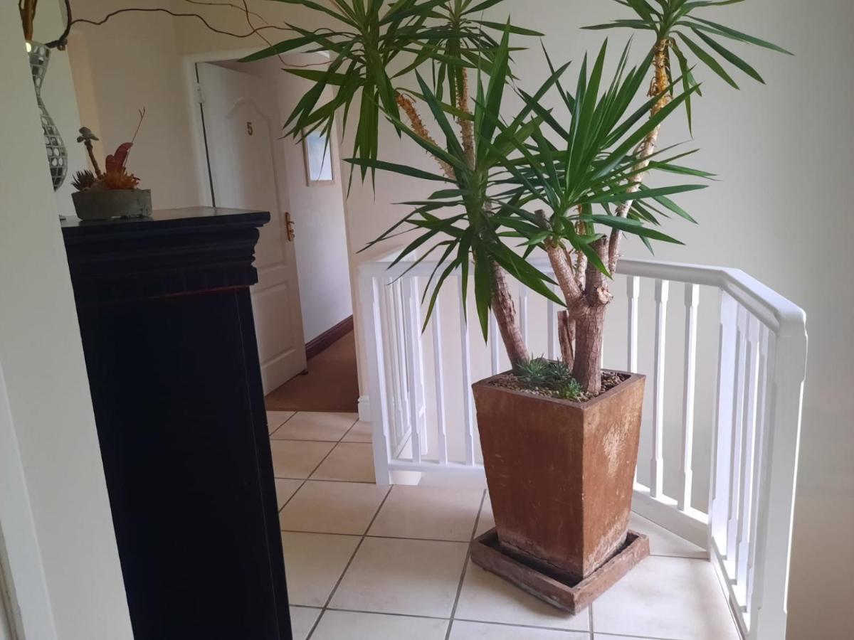 6 On Protea Bed & Breakfast Knysna Ngoại thất bức ảnh
